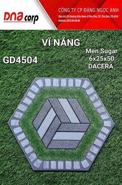  6x25x50 GD4504 Gạch Men Lục Giác 