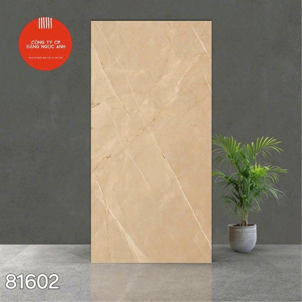  Gạch 81602 Ấn Độ 80×160 