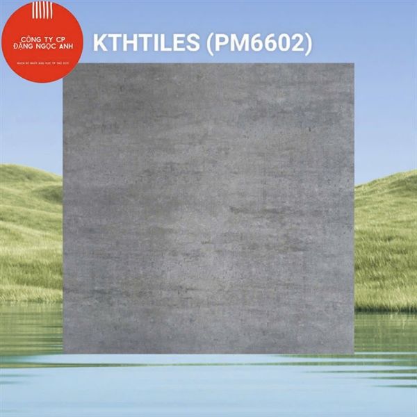  60x60 PM6602 Gạch Đá Mờ 