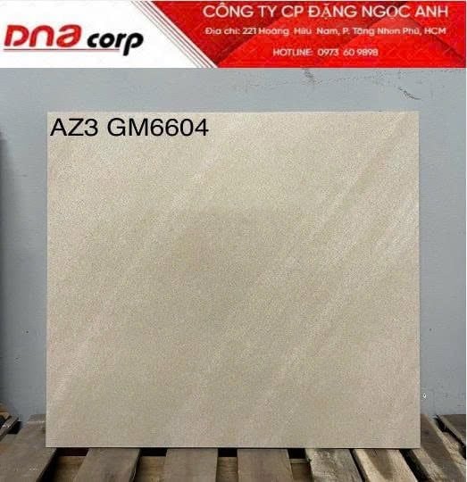  60*60 AZ3-GM6604 Gạch ốp lát đá mờ viglacera (1.44m/4v/th) 
