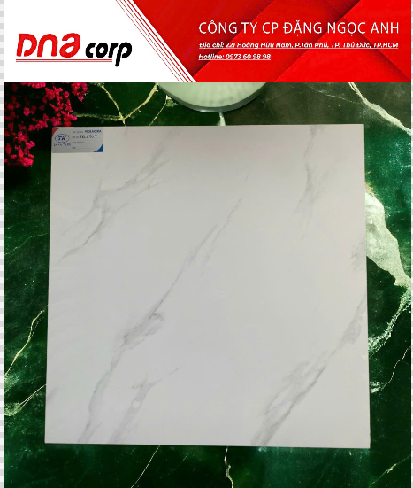  60*60 TB6707 Gạch lát nền đá bóng kính Viglacera (1.44m/4v/th) 