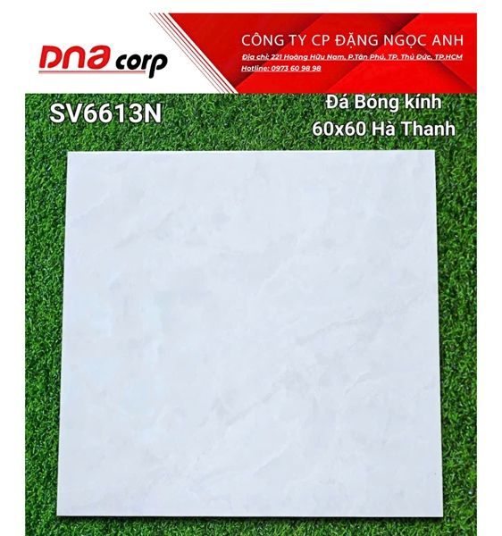  60*60 SV6613N Gạch lát nền đá bóng kính Hà Thanh (1.44m/4v/th) 
