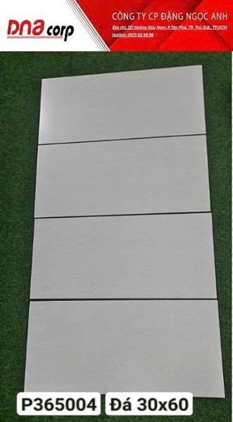  đá mờ 30x60 ý mỹ loại 1 sale p365004 th8v 