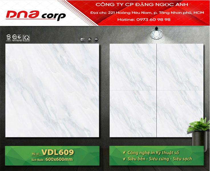  60*60 VDL609 Gạch lát nền đá bóng kính (1.44m/4v/th) 