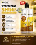  keo chà ron expoxy 2tp weber màu gỗ 228 