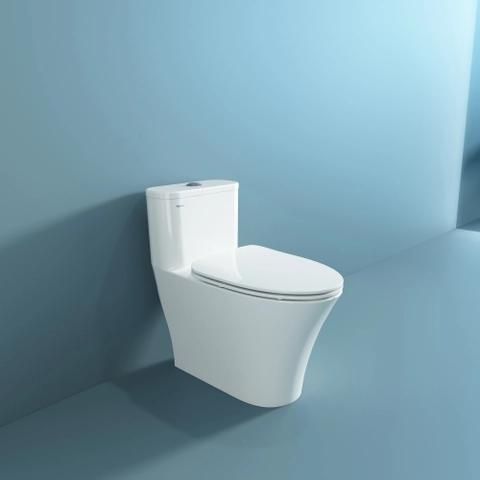  cầu 1 khối V829 xả xoáy max voter 3/6L( đã giảm, giá niêm yết 4560k) 