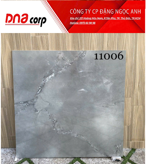  Gạch Ấn Độ 100*100 11006 gạch đá 