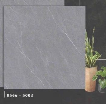  60*60 0566- 5003 Gạch lát nền đá mờ (4/th/1,44m) 