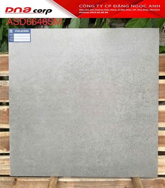  60*60 ASD 6646SM Gạch lát nền đá bán xứ mờ (1.44m/4v/thùng) 