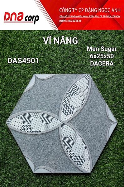  6x25x50 DAS4501 Gạch Men Lục Giác 