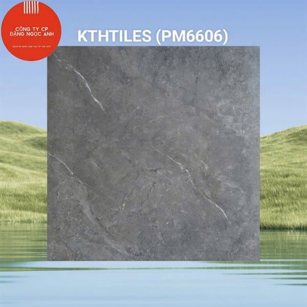  60x60 PM6606 Gạch Đá Mờ 