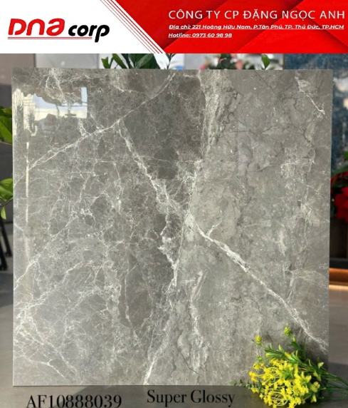  80*80 8039 gạch lát nền đá bk Apodio (3v/thung/1,92m) 