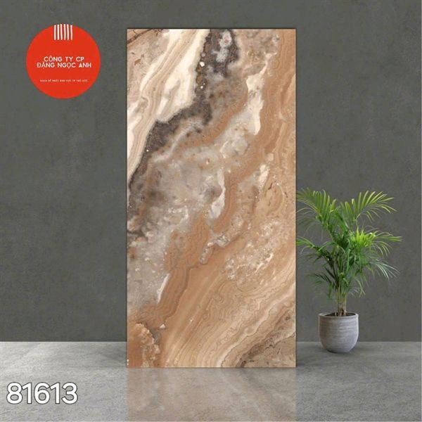  Gạch 81613 Ấn Độ 80×160 
