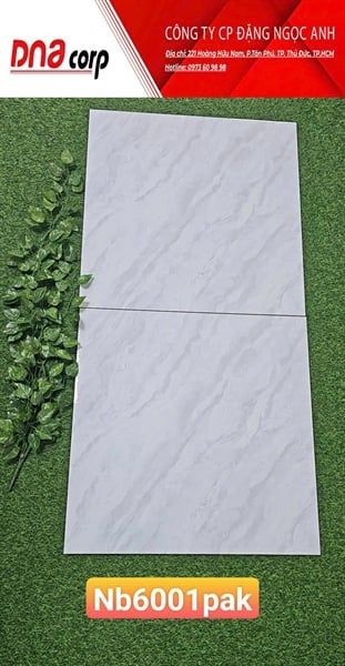  60x60 men pak NB6001 loại b th5v/1.8m 