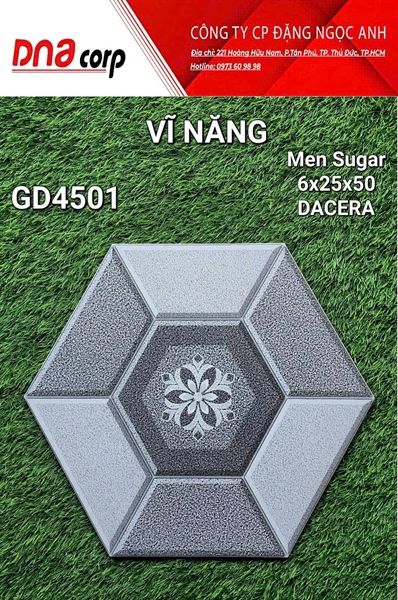  6x25x50 GD4501 Gạch Men Lục Giác 