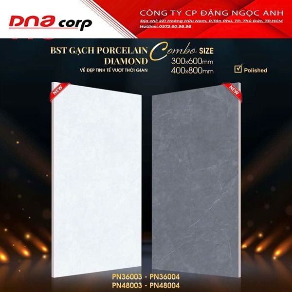  40x80 CN48003 Gạch Đá Bóng Nhạt 