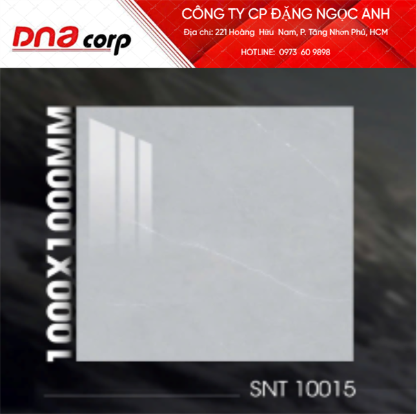  100*100 SNT10015 Gạch lát nền khổ lớn (2v/th) màu xám vân 