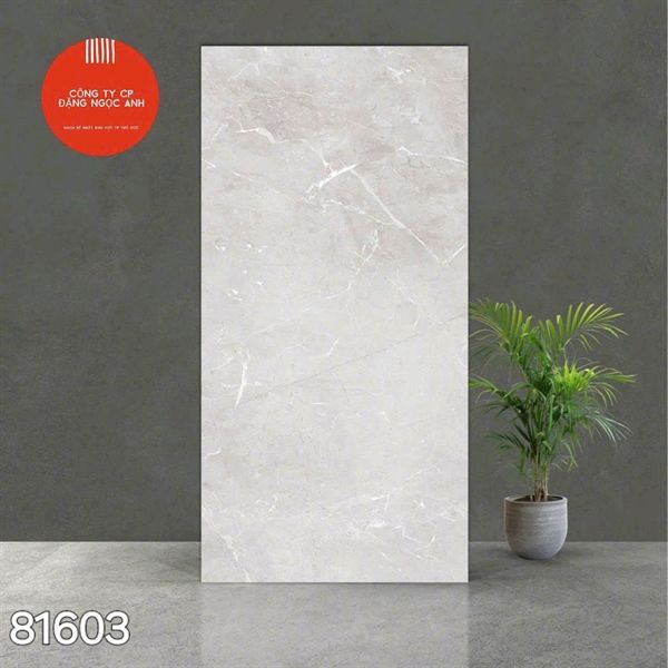  Gạch 81603 Ấn Độ 80×160 