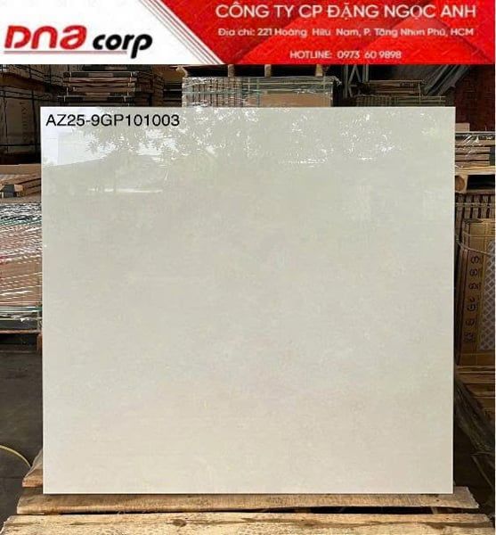  100*100 AZ25-9GP101002 Gạch khổ lớn Viglacera 