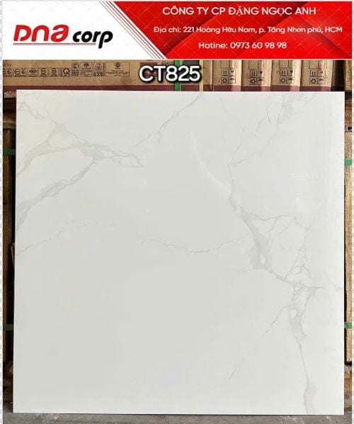  80*80 CT825 Gạch lát nền đá bóng (3v/th/1.92m) 
