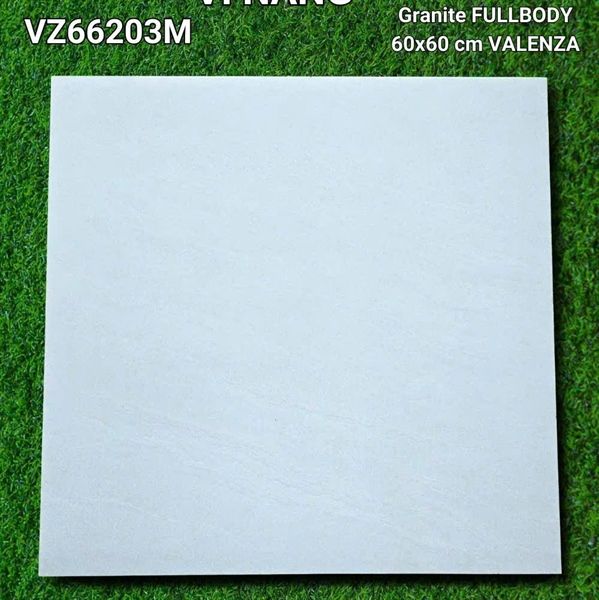  vz66203m 60*60 đá mờ vitaly 