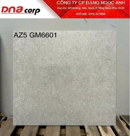  60*60 AZ5-GM6601 Gạch ốp lát đá mờ viglacera (1.44m/4v/th) 