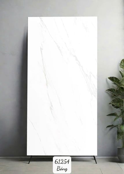  60*120 61254 Gạch ốp lát đá bóng kính Ấn Độ (2v/th/1,44m) 