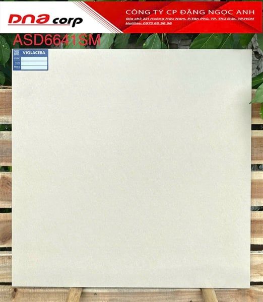  60*60 ASD 6641SM Gạch lát nền đá bán xứ mờ (1.44m/4v/thùng) 