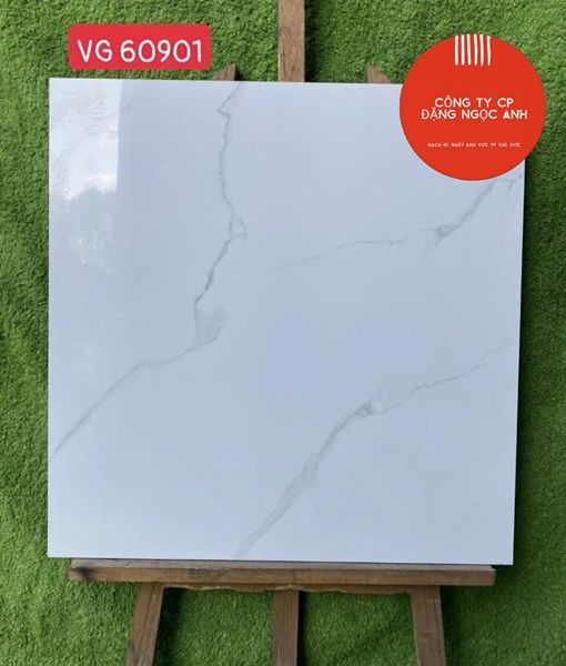  60x60 VG60901 Gạch Đá Bóng Vicenza 