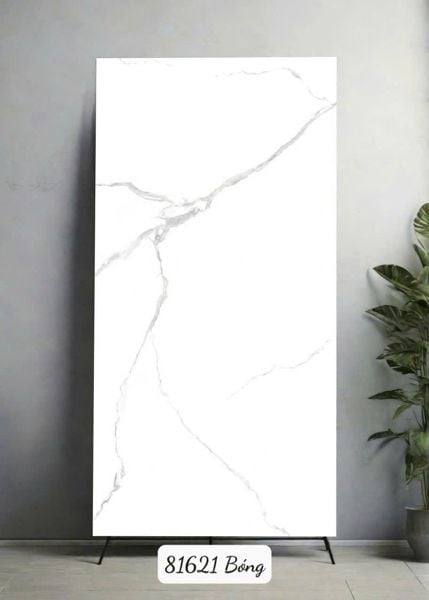  80*160 81621 Gạch ốp lát khổ lớn Ấn Độ 
