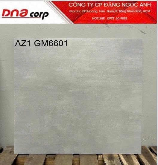  60*60 AZ1-GM6601 Gạch ốp lát đá mờ viglacera (1.44m/4v/th) 