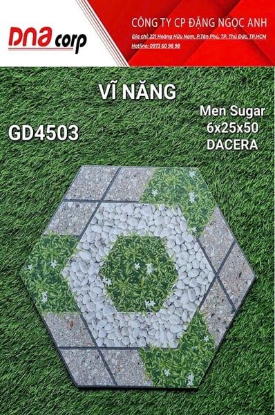  6x25x50 GD4503 Gạch Men Lục Giác 