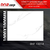  100*100 SNT10014 Gạch lát nền khổ lớn (2v/th) vân đá trắng 