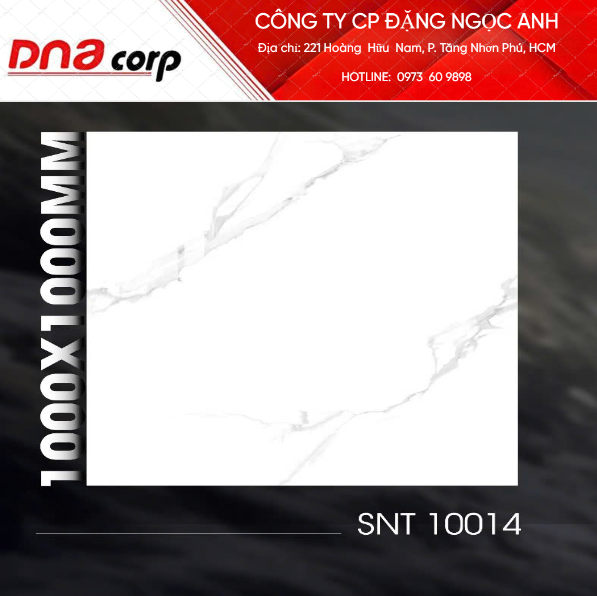  100*100 SNT10014 Gạch lát nền khổ lớn (2v/th) vân đá trắng 