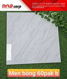  60x60 men pak NB6001 loại b th5v/1.8m 