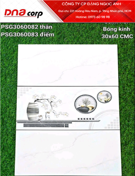  30*60 Psg30600082 Gạch ốp tường đá bóng kính (1.44m/8v/th) 