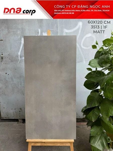  3513 1F Gạch Ấn Độ 60x120 