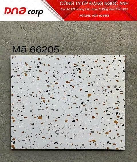  60*60 66205 Gạch ốp lát trang trí đá bóng (4v/th/1.44m) 