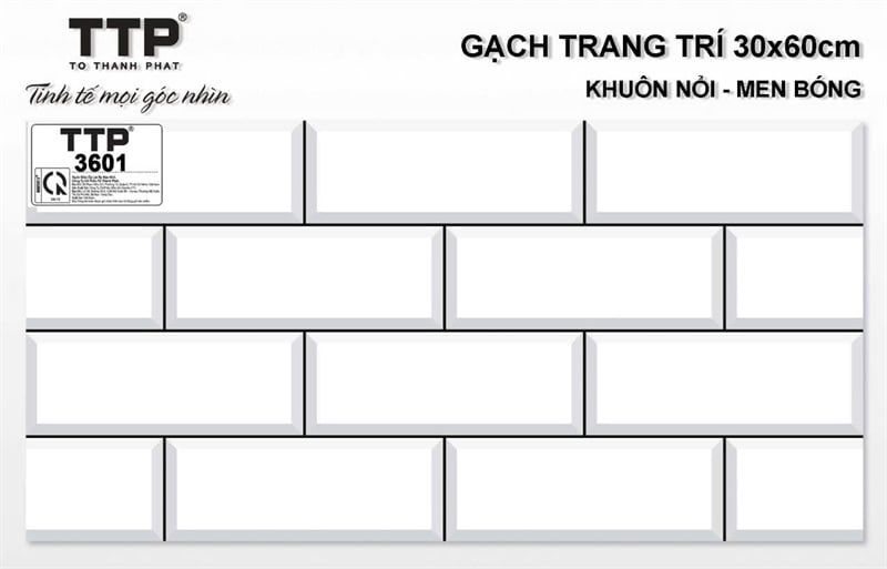  TTP3601AA TT 30X60 10v/t toroma 