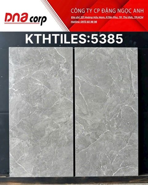  30x60 5385 Gạch Đá Mờ 