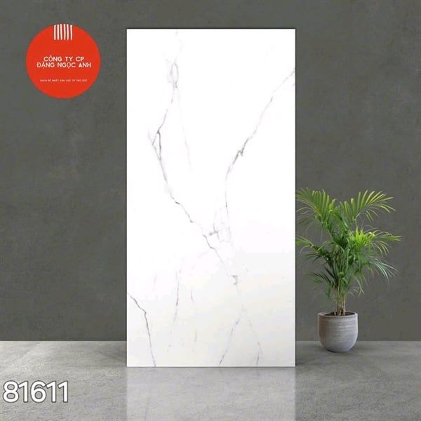  Gạch 81611 Ấn Độ 80×160 