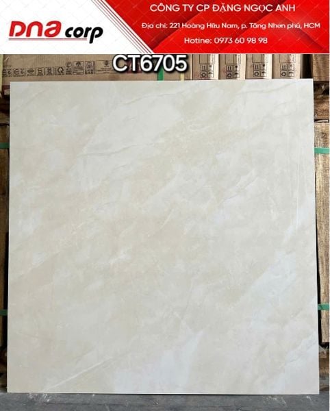  80*80 CT6705 Gạch lát nền đá bóng (3v/th/1.92m) 