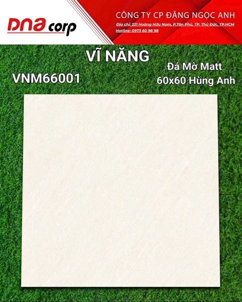  60x60 VNM66001 Đá Mờ Matt Hùng Anh 