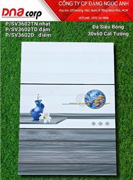  30*60 SV3602D Gạch ốp đá bóng kính Viên điểm (1.44m/8v/th) 