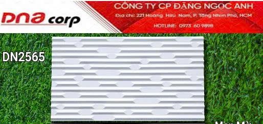  25*50 DN2565 Gạch trang trí men mờ (12v/th/1.5m) 