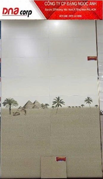  30*60 3606HLB Gạch ốp lát men mờ Ấn Độ Viên Điểm kim tự tháp (1.44m/8v/th) 