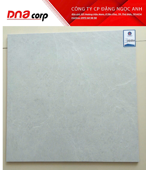  60*60 ATP 601 Gạch bán sứ mờ viglacera 4v/th/1.44m 