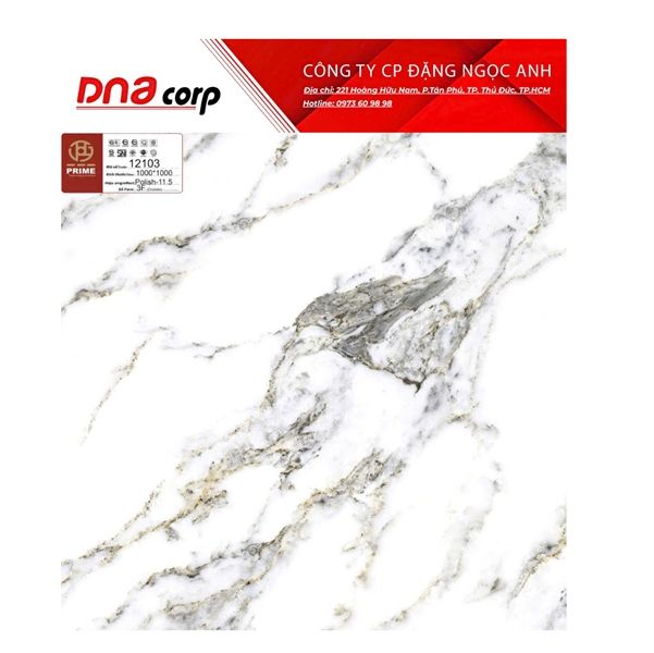  100*100 12103 Gạch ốp lát cao cấp khổ lớn 