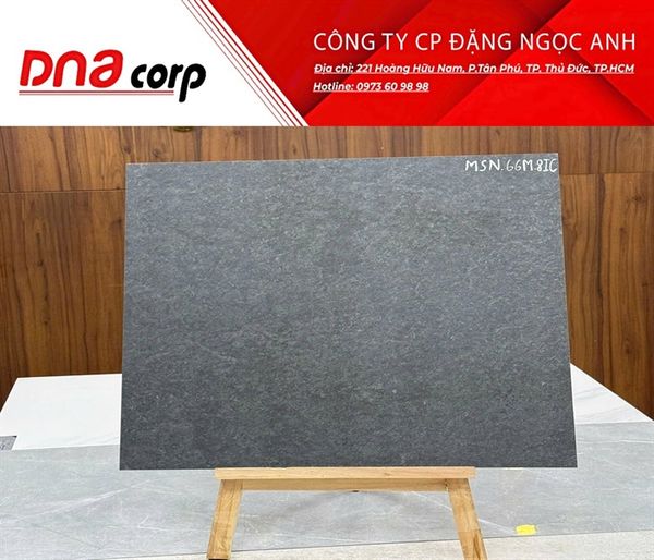  60x60 MSN 66M 8IC Gạch Đá th/4v/1.44m 