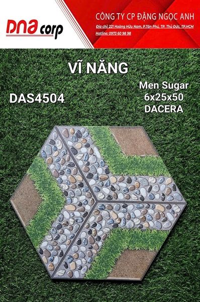  6x25x50 DAS4504 Gạch Men Lục Giác 